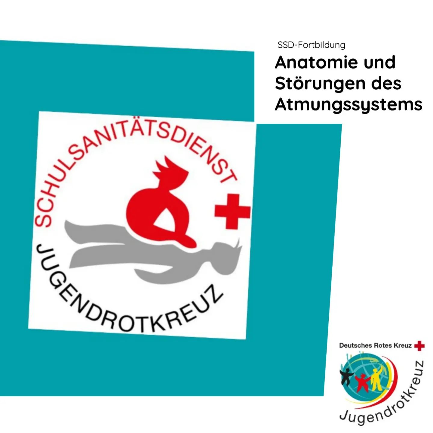 Logo des Schulsanitätsdienst